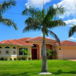 A palm tree in front of a house