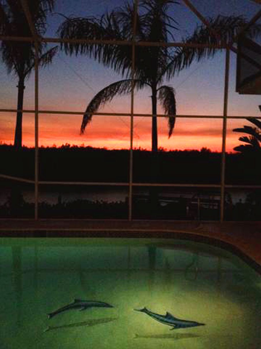 A pool with a view of the sunset.