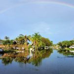 A rainbow over the water in a tropical setting.